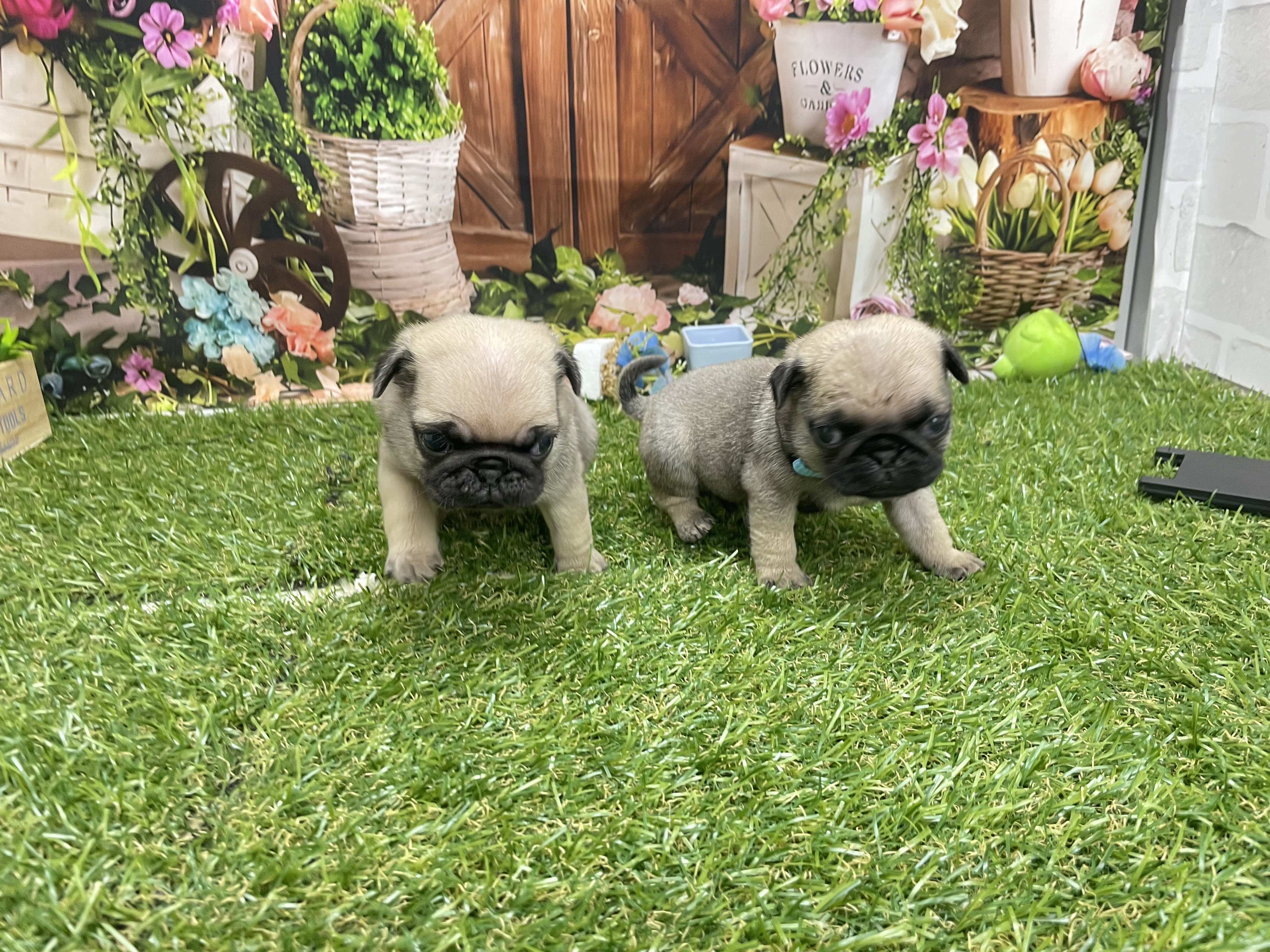 赤ちゃん写真2-3