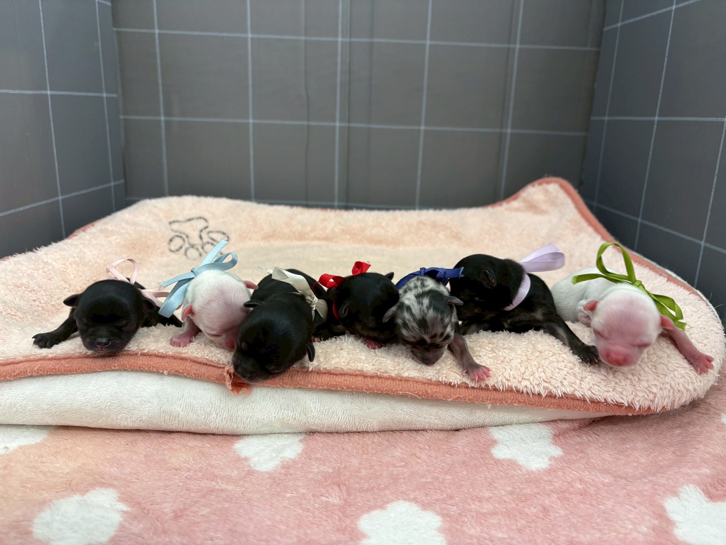 赤ちゃん写真1-3