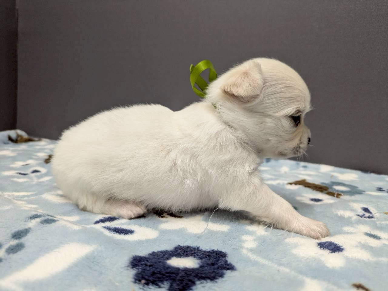 赤ちゃん写真2-2