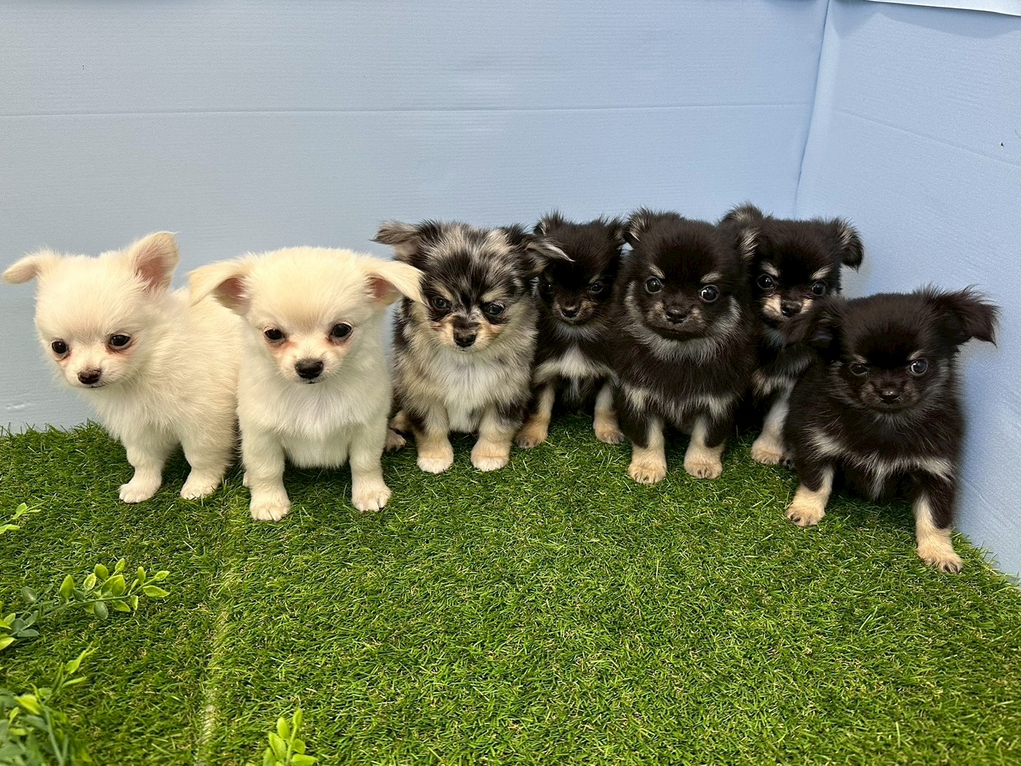 赤ちゃん写真3-3