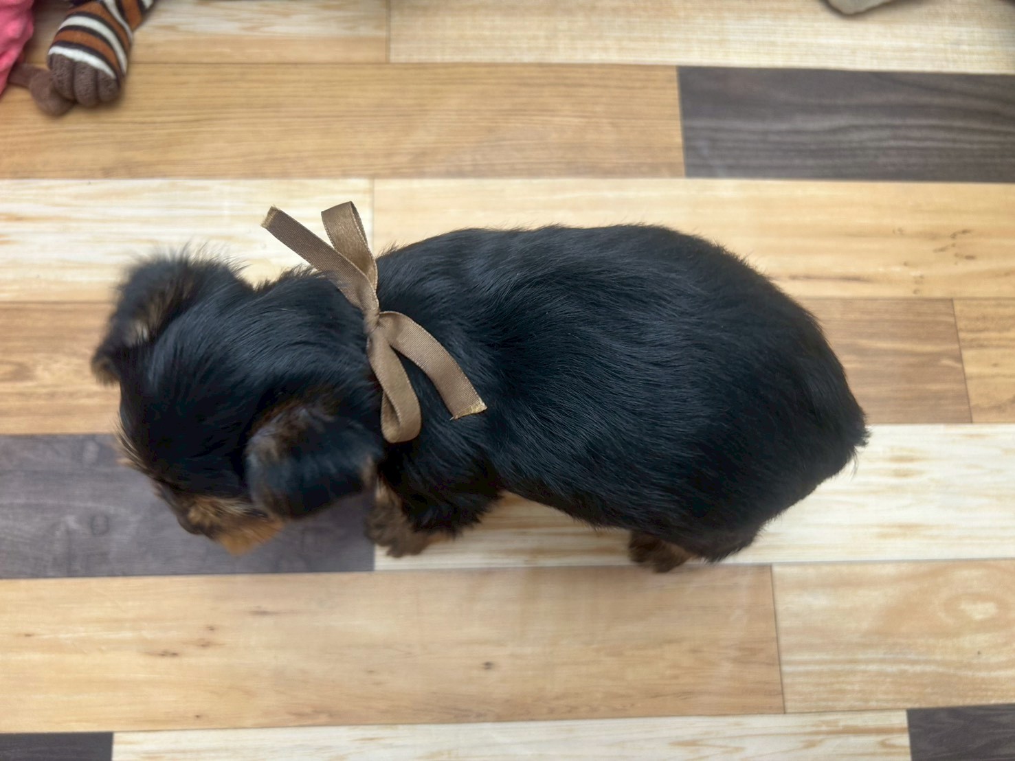 赤ちゃん写真3-3