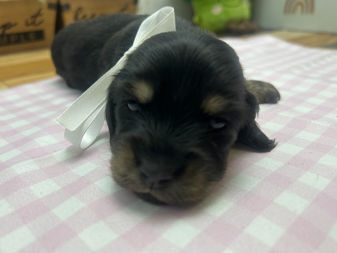赤ちゃん写真2-1