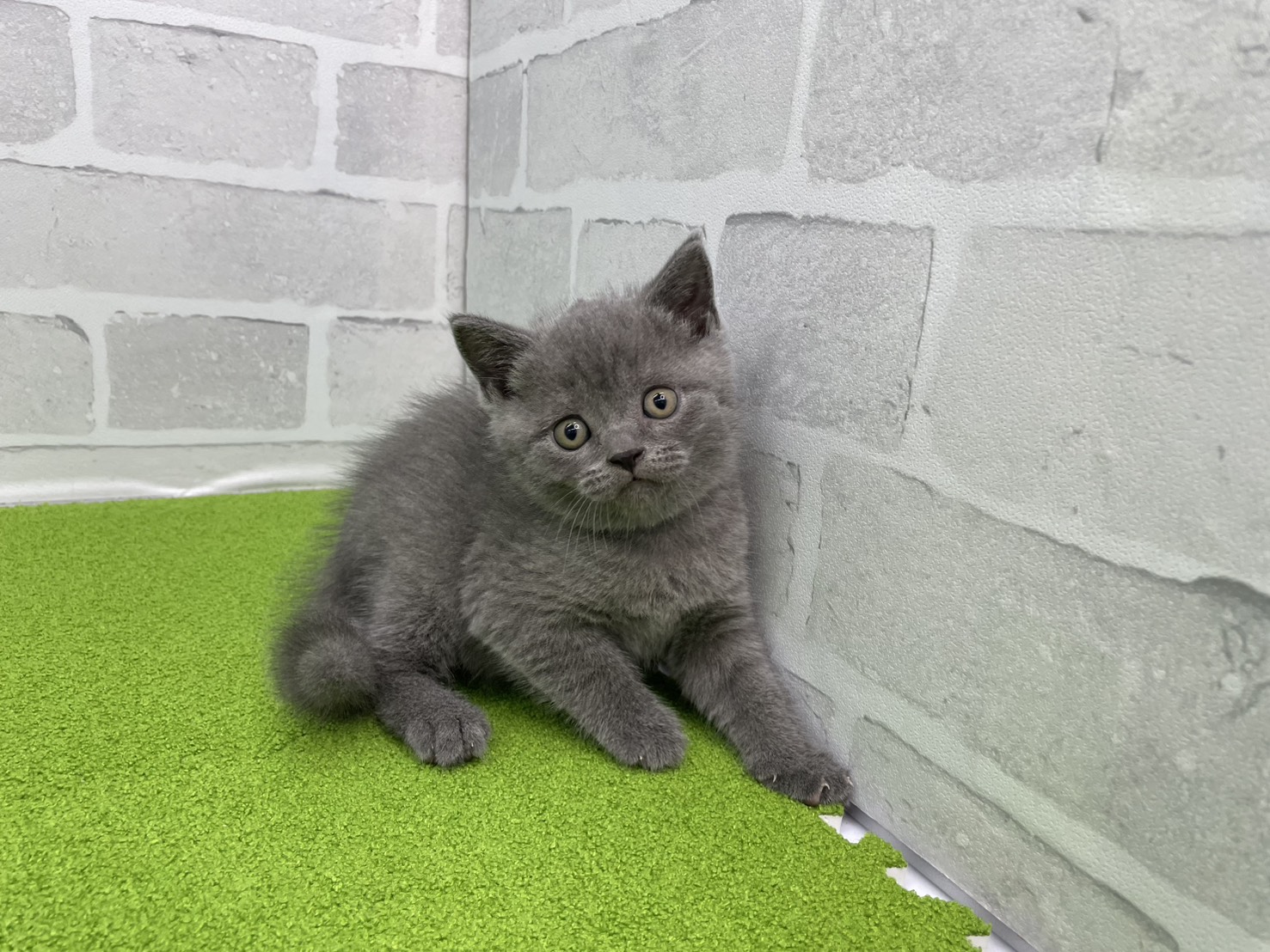 赤ちゃん写真2-1