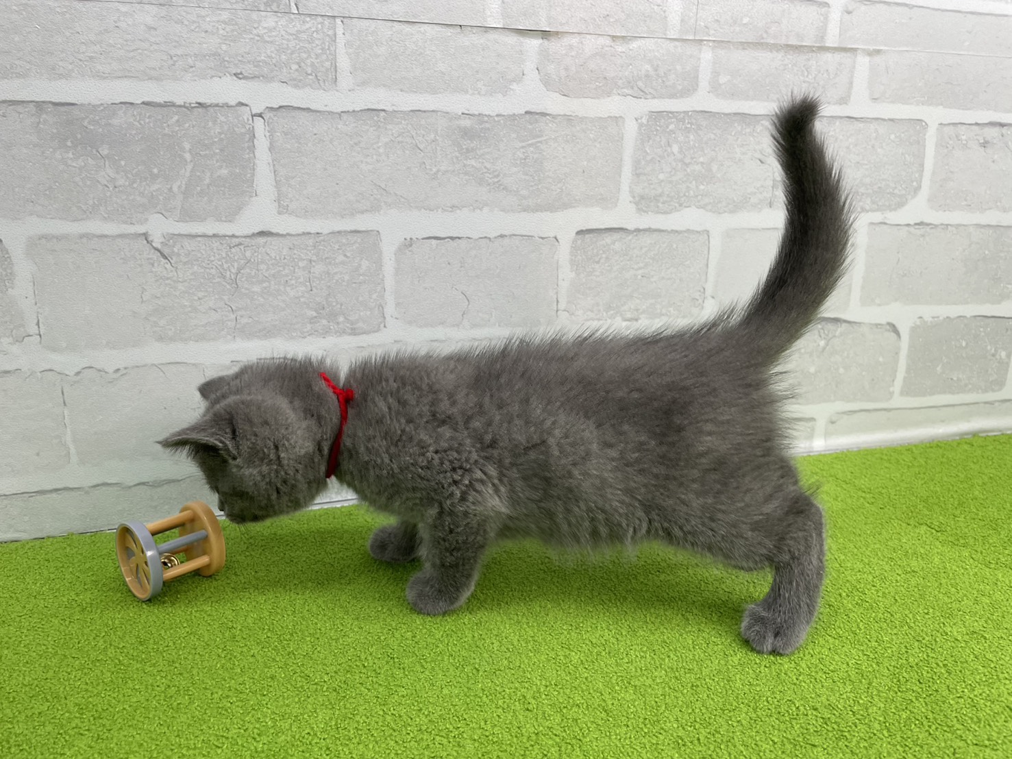 赤ちゃん写真3-2