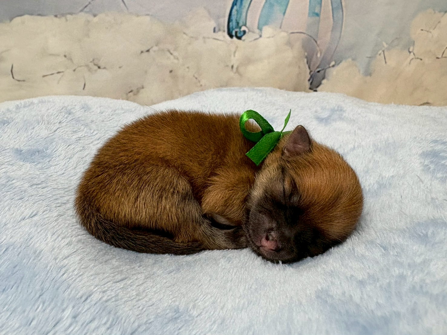 赤ちゃん写真1-2