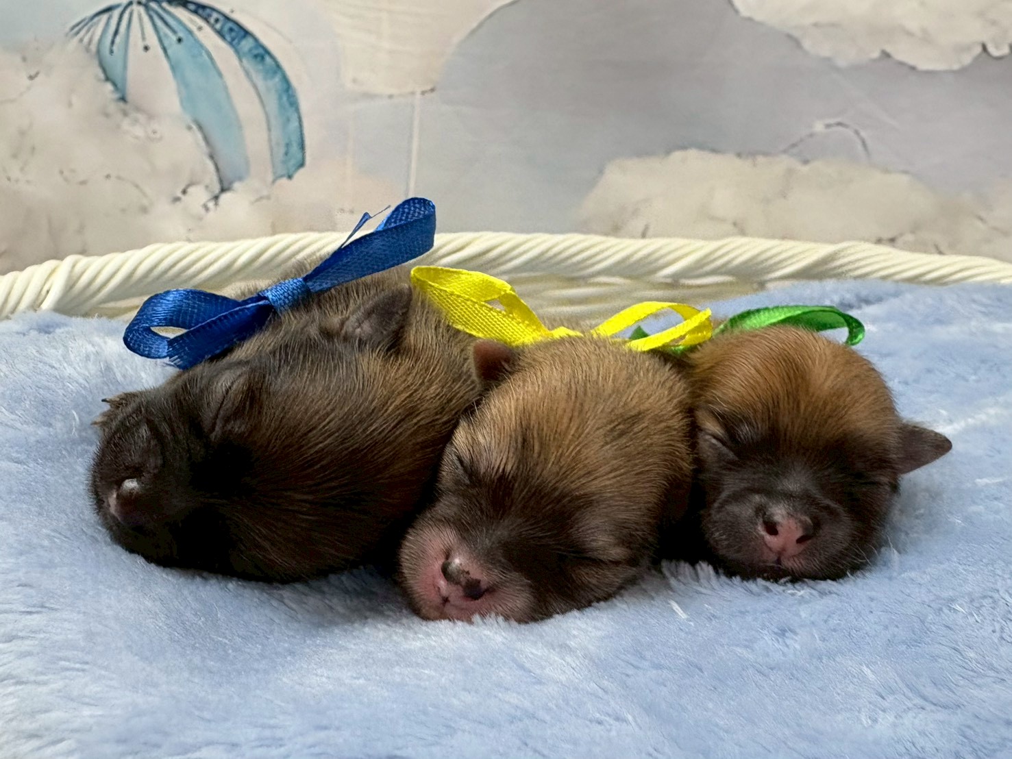 赤ちゃん写真1-3