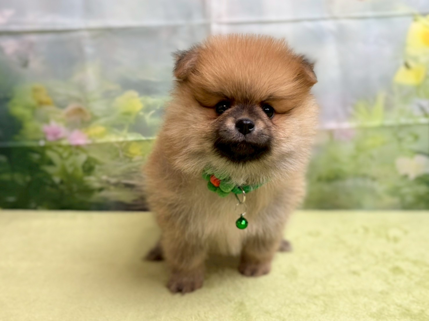 赤ちゃん写真3-1