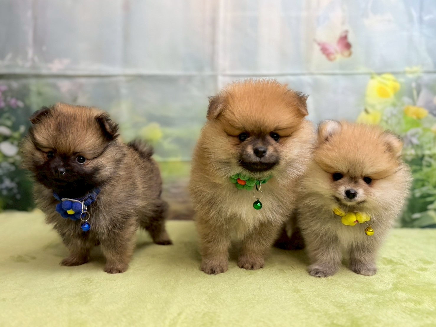 赤ちゃん写真3-3