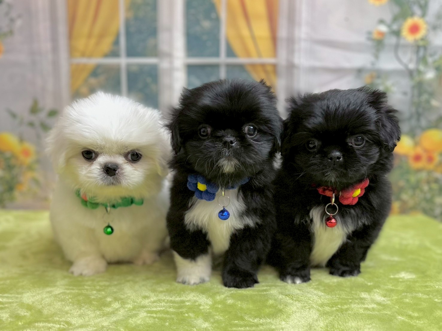 赤ちゃん写真3-3