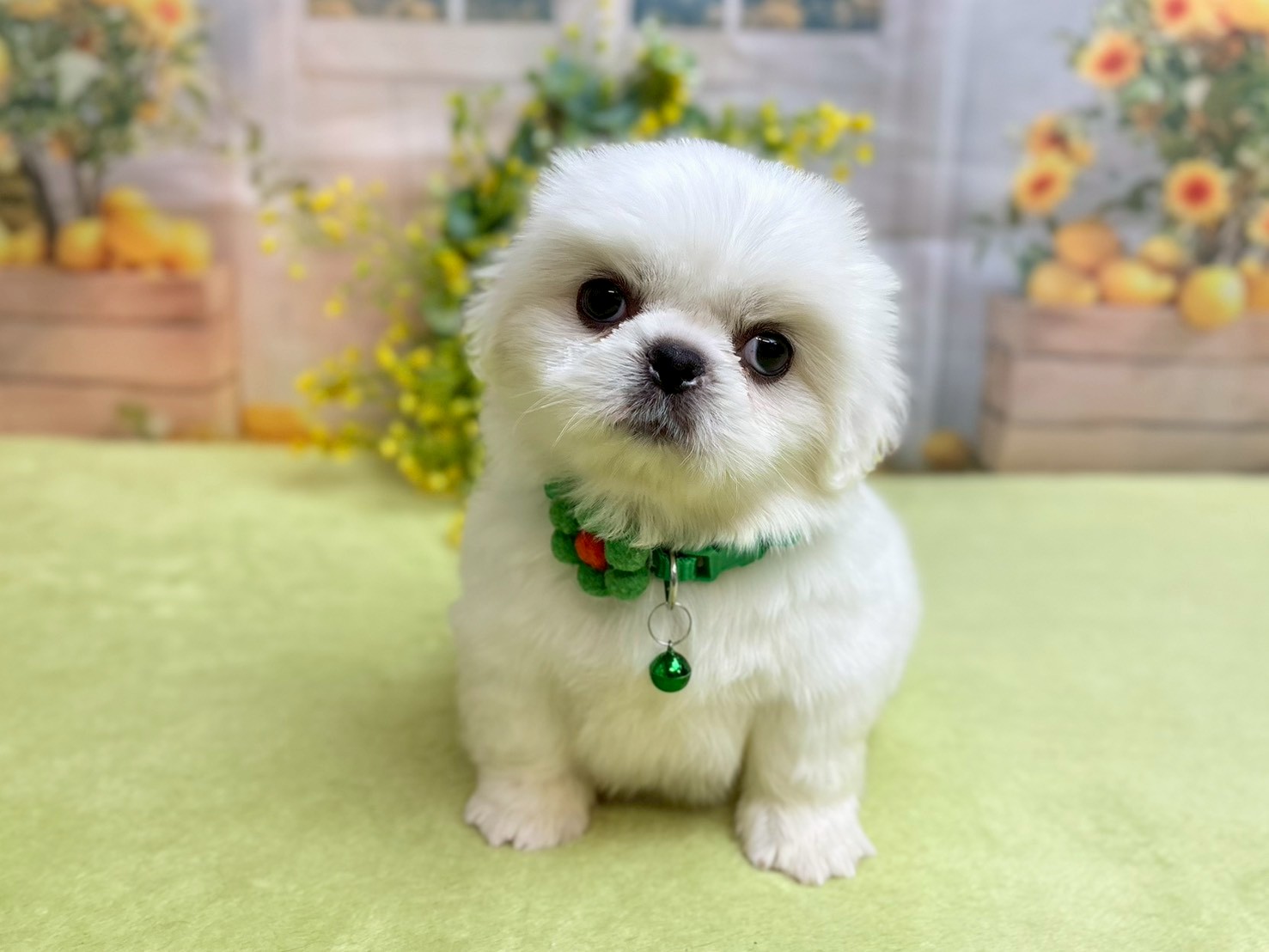 赤ちゃん写真3-1