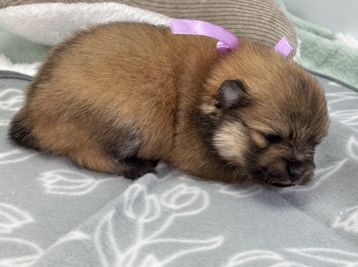 赤ちゃん写真1-2