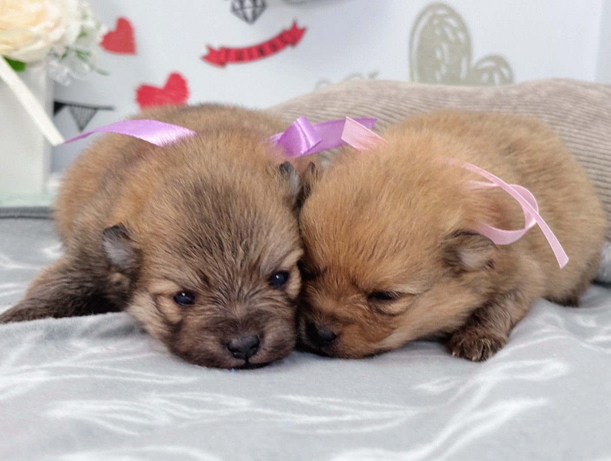 赤ちゃん写真1-3