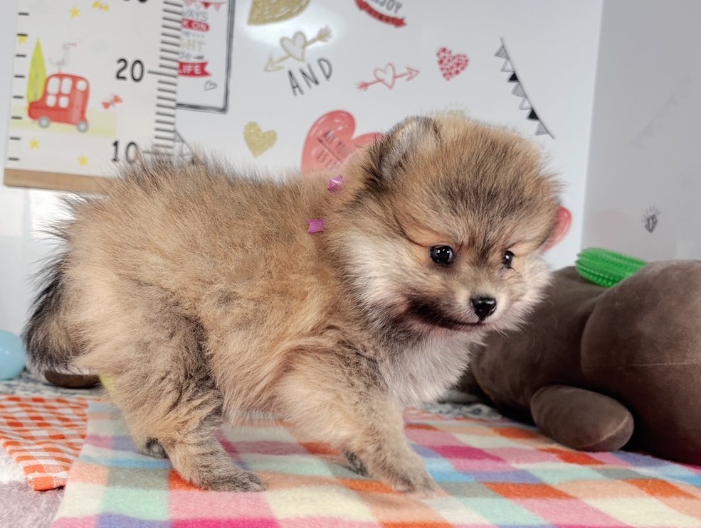 赤ちゃん写真2-2