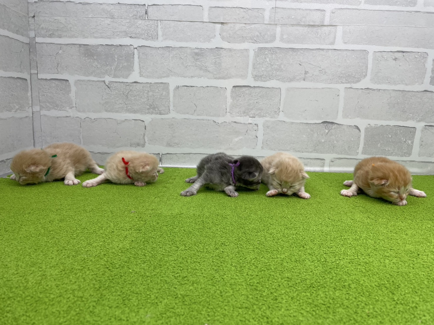 赤ちゃん写真1-3