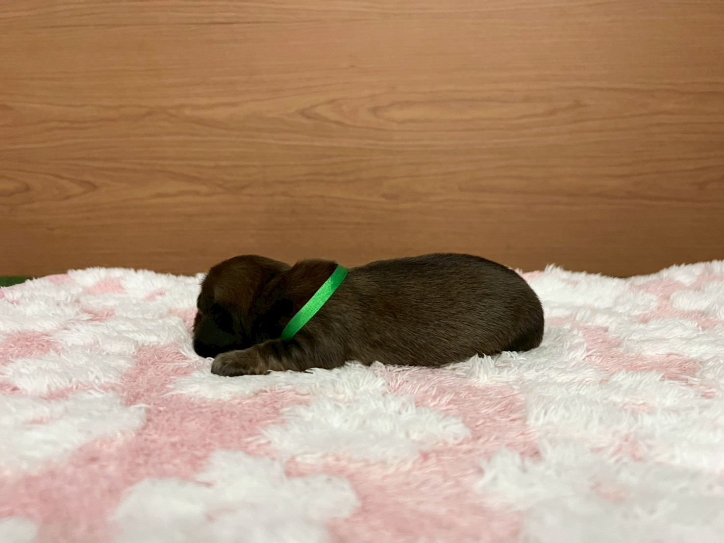 赤ちゃん写真1-2
