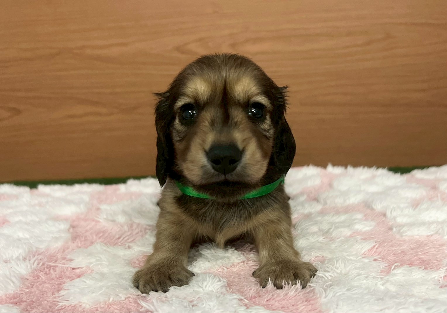 赤ちゃん写真2-1