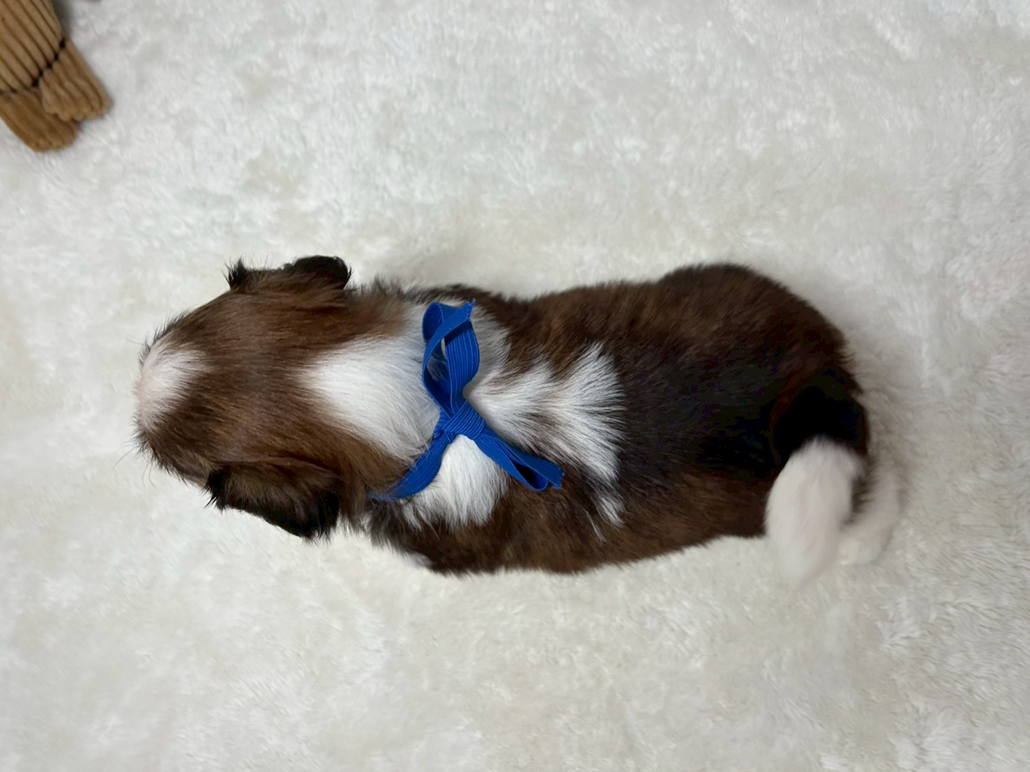赤ちゃん写真2-3
