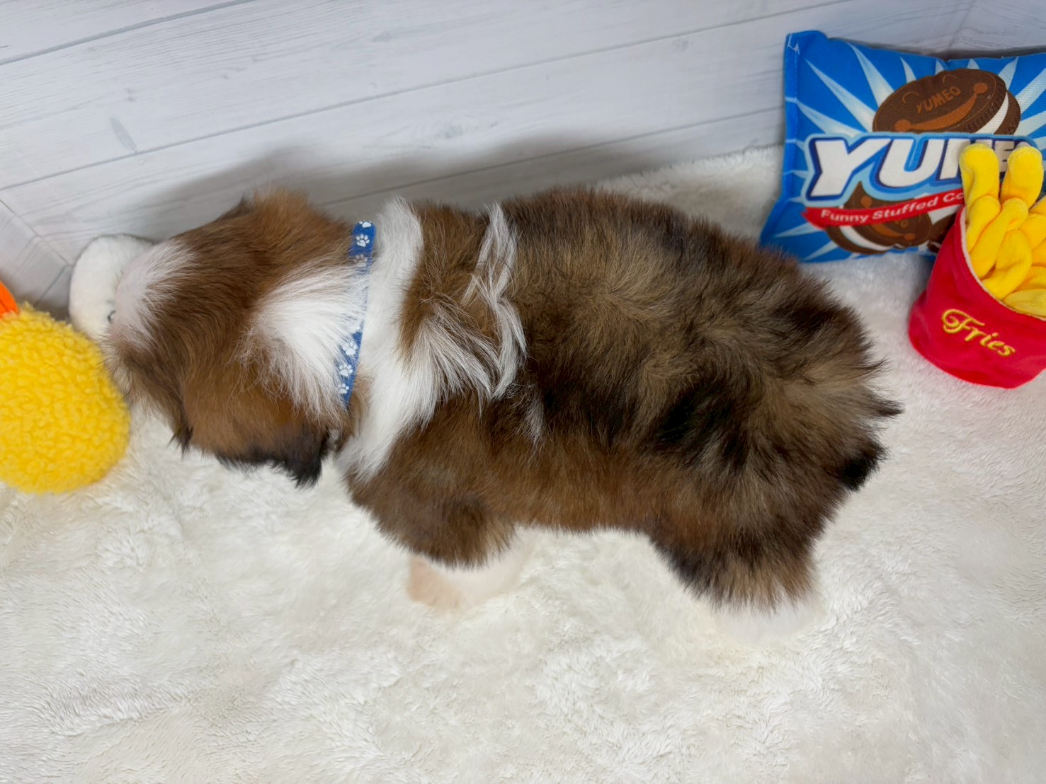 赤ちゃん写真3-3