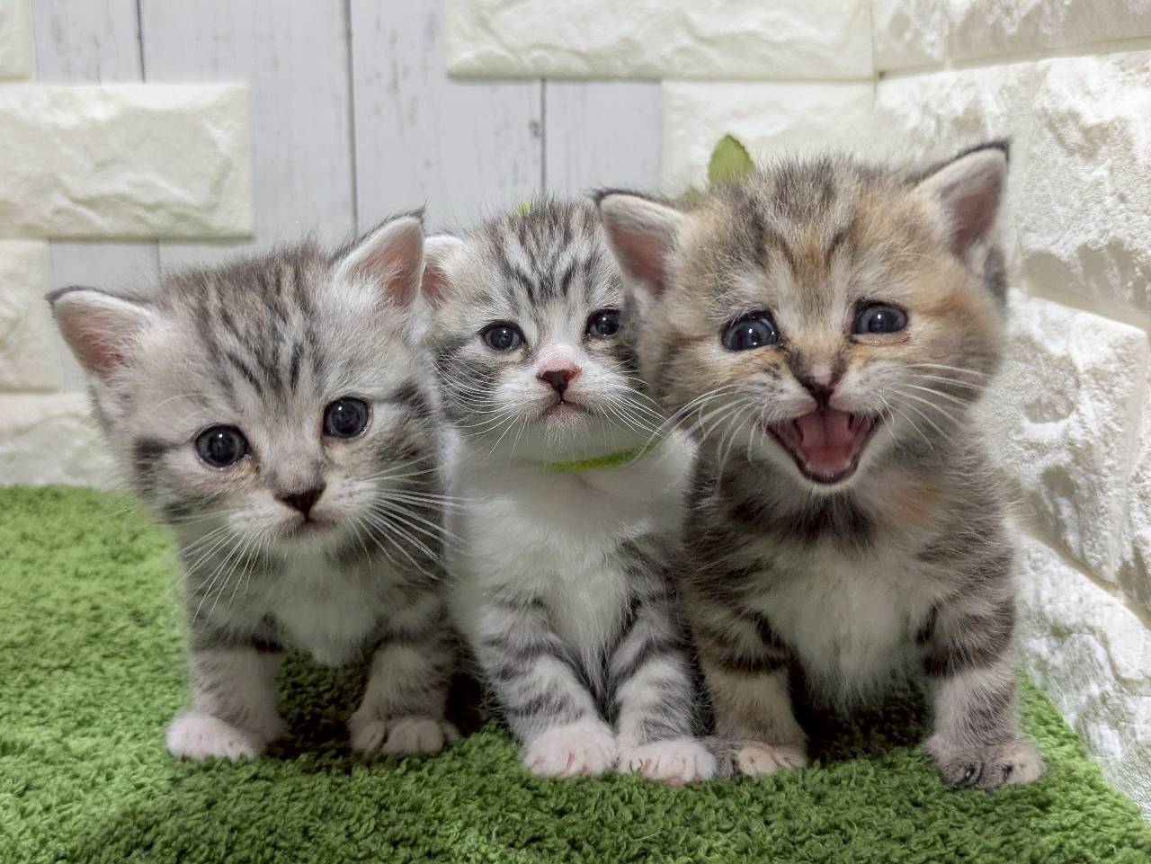赤ちゃん写真2-3