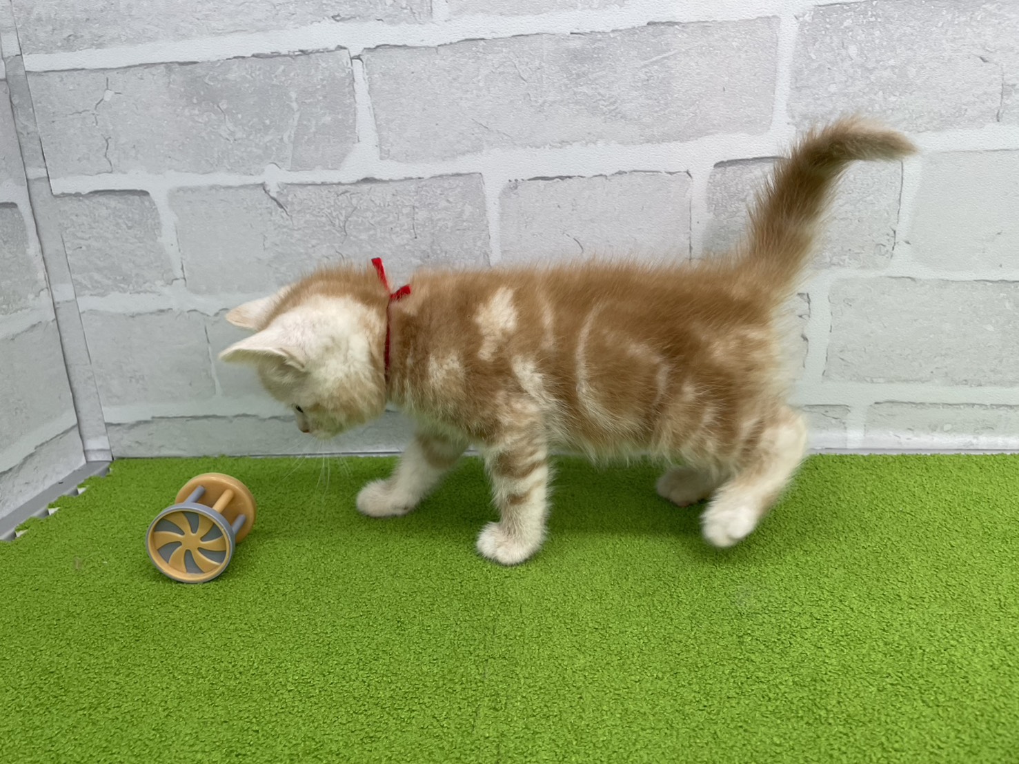 赤ちゃん写真2-2
