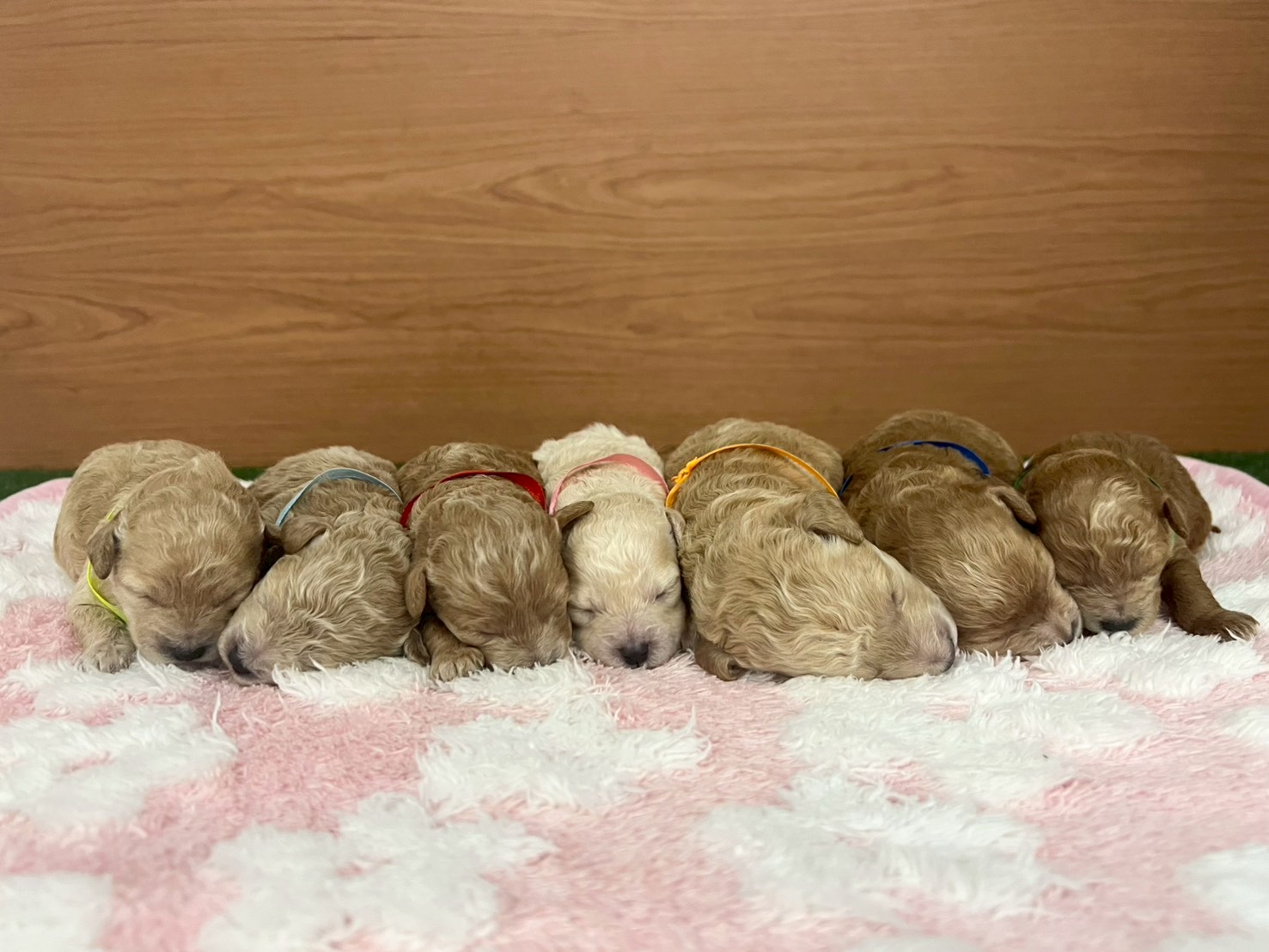 赤ちゃん写真1-3