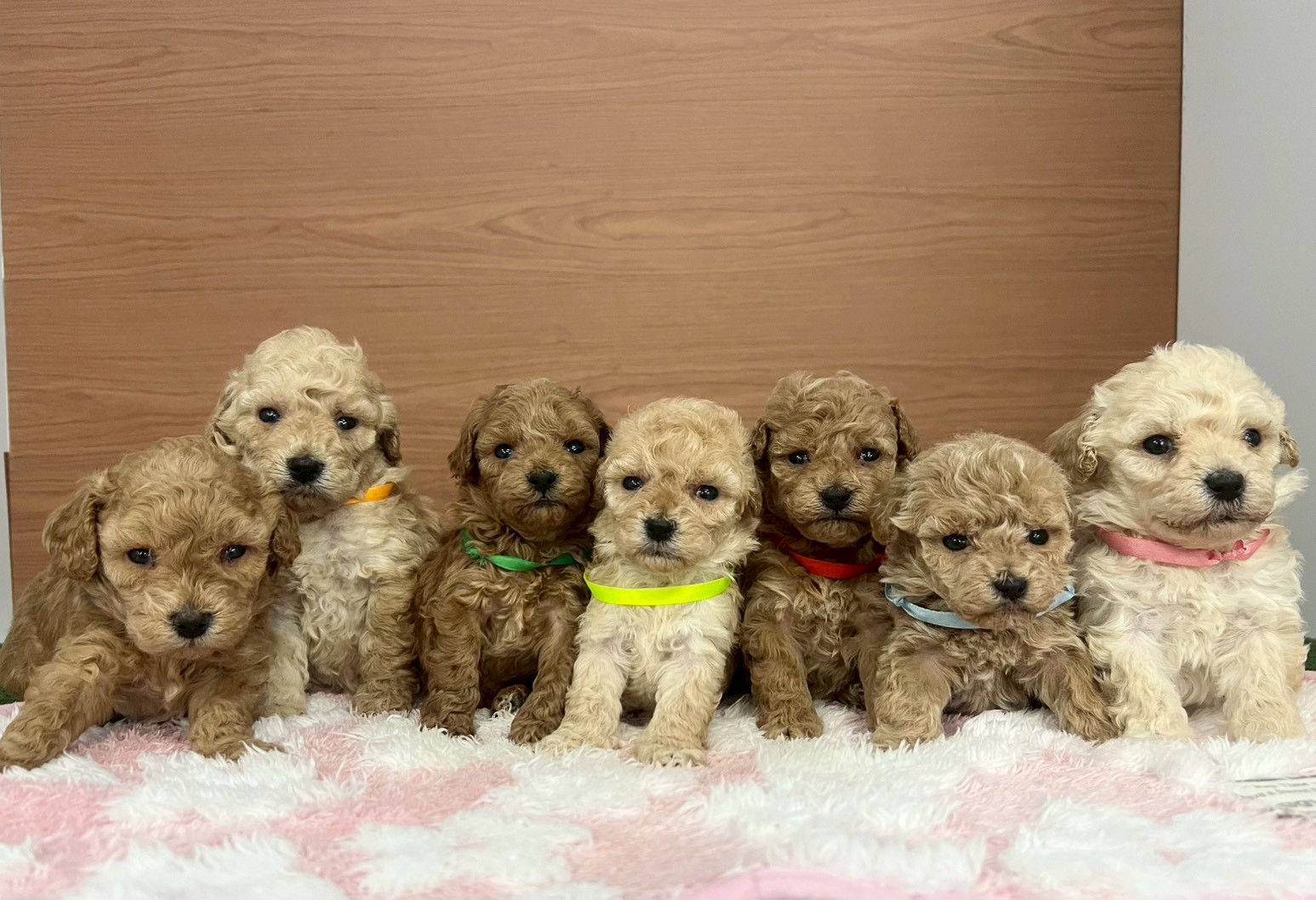 赤ちゃん写真2-3