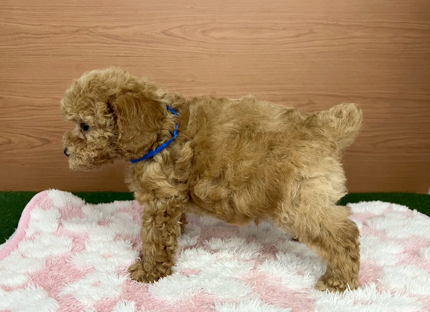 赤ちゃん写真3-2