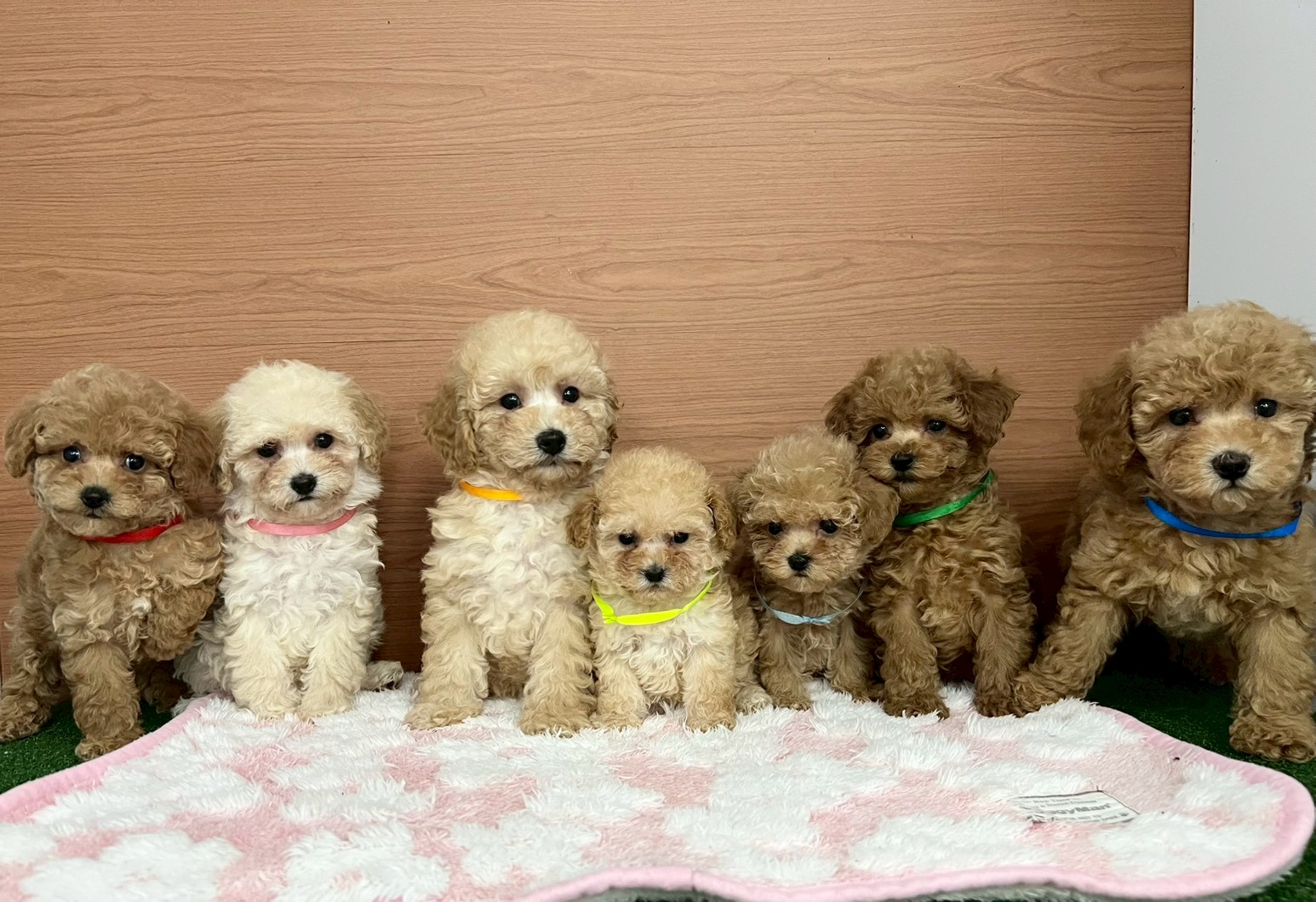 赤ちゃん写真3-3