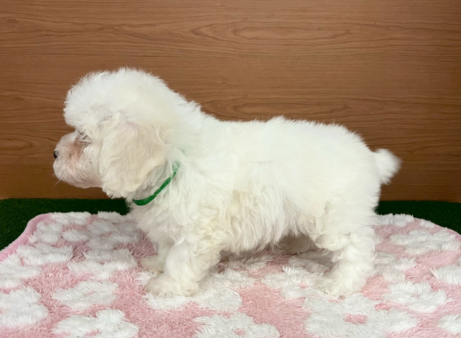 赤ちゃん写真3-2