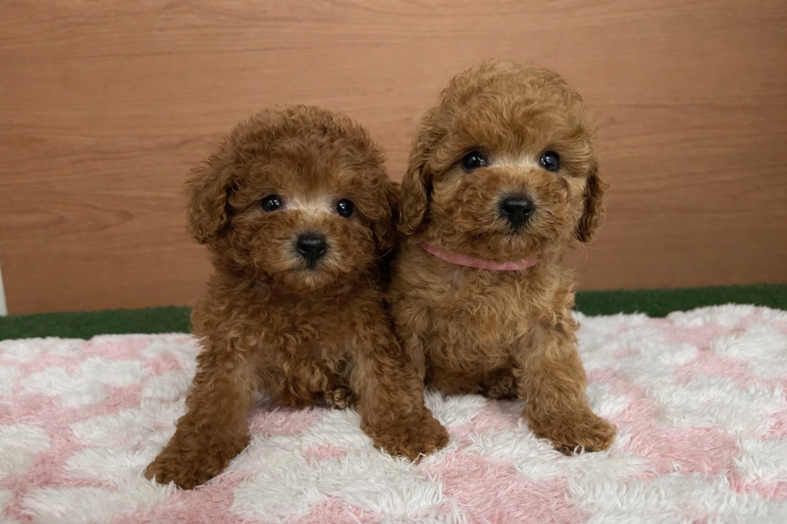 赤ちゃん写真3-3