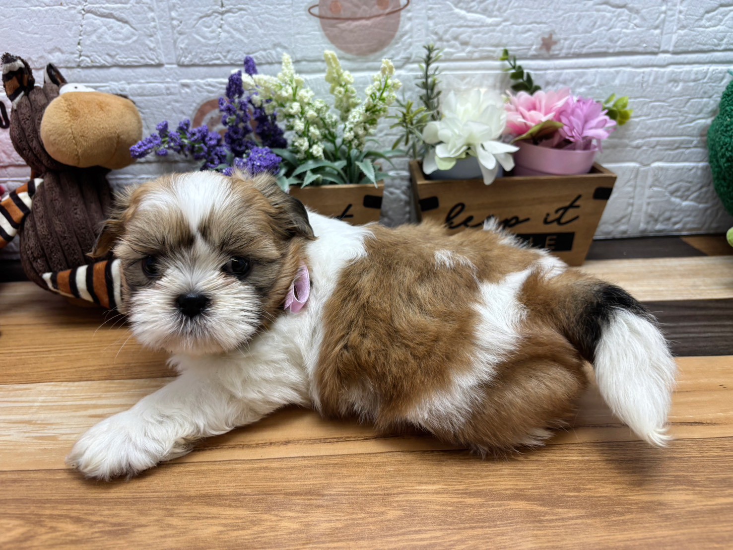 赤ちゃん写真3-2