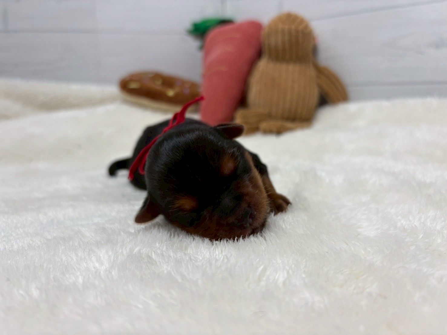 赤ちゃん写真1-1