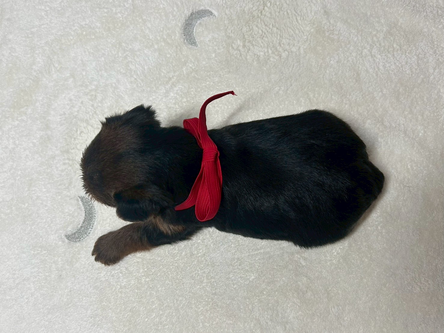 赤ちゃん写真2-3