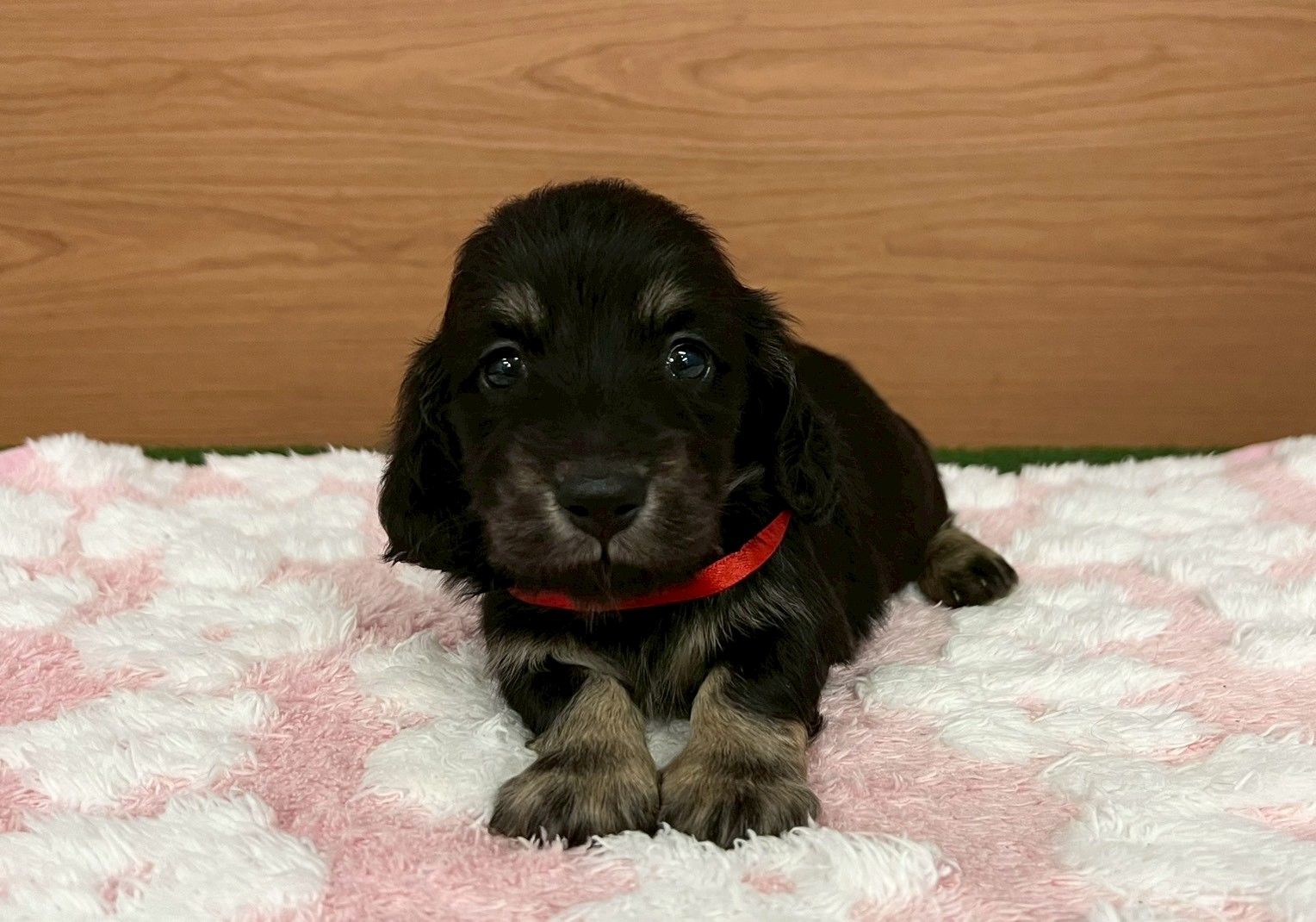 赤ちゃん写真2-1
