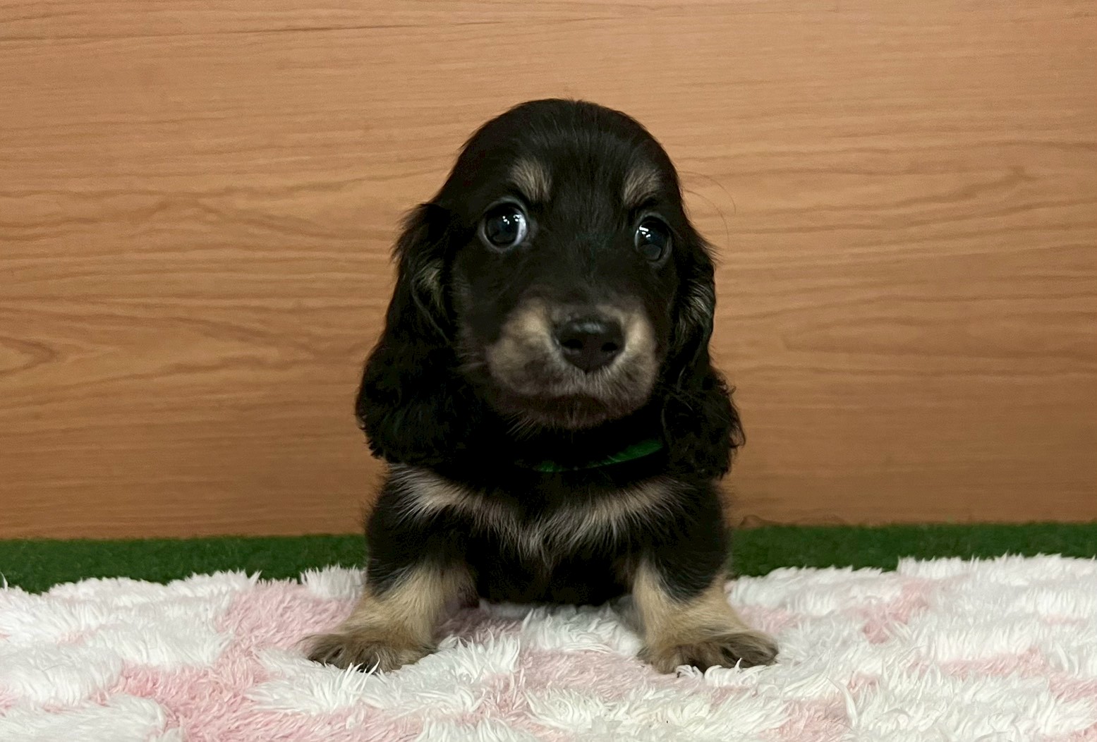 赤ちゃん写真3-1