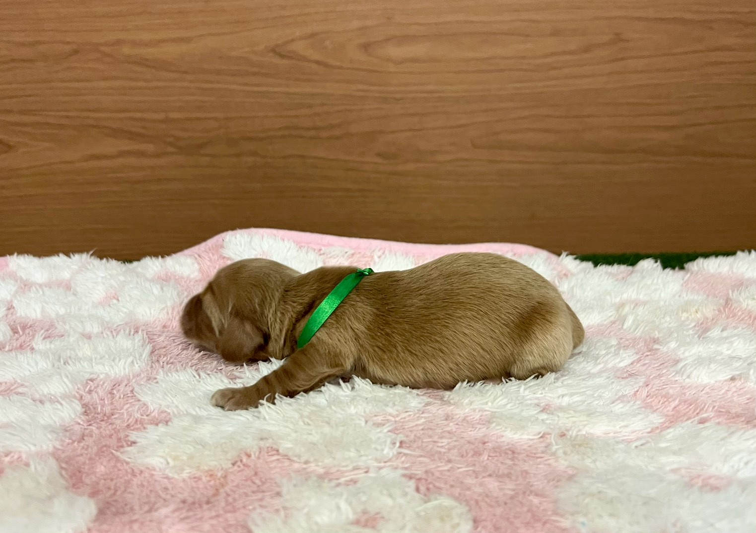 赤ちゃん写真1-2