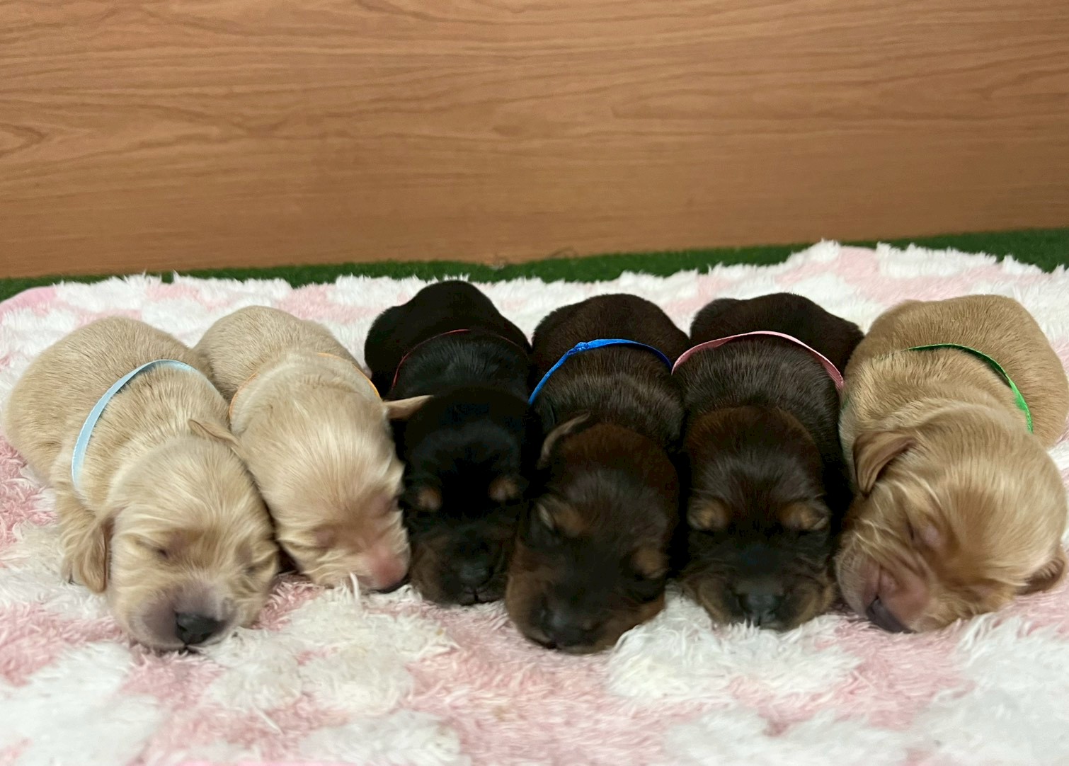赤ちゃん写真1-3