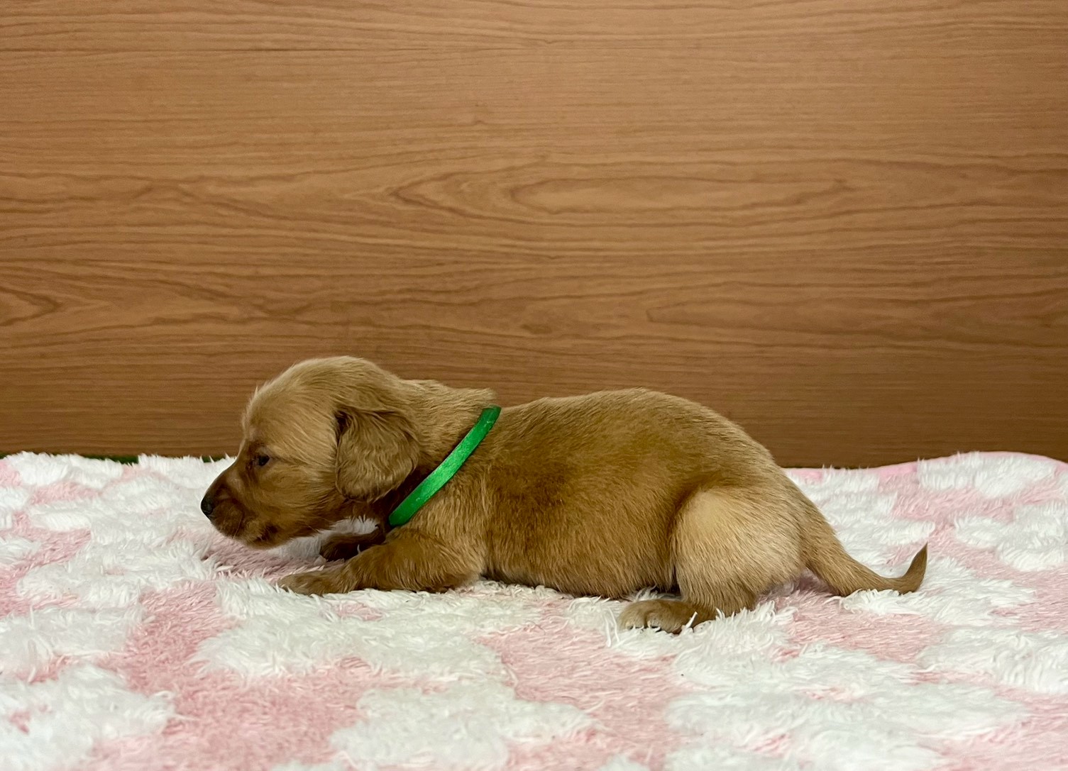 赤ちゃん写真2-2