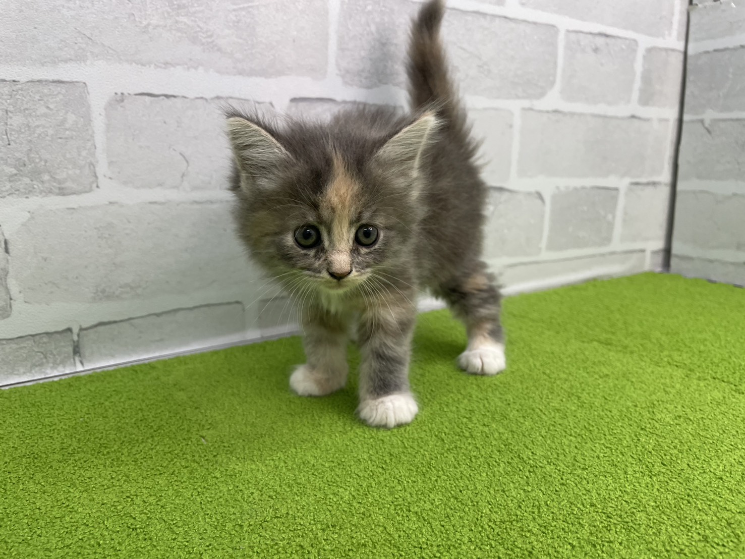赤ちゃん写真2-1