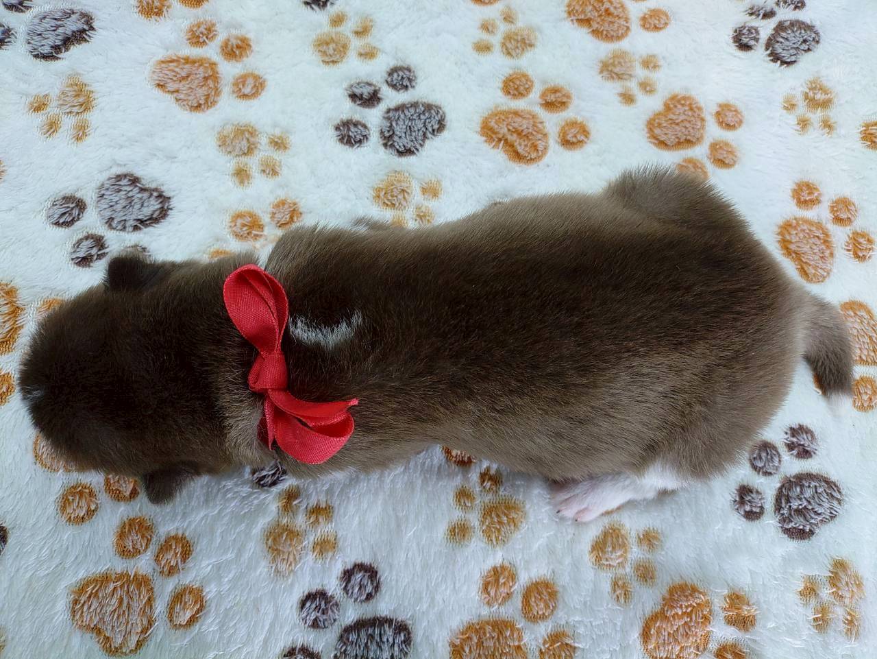 赤ちゃん写真1-3