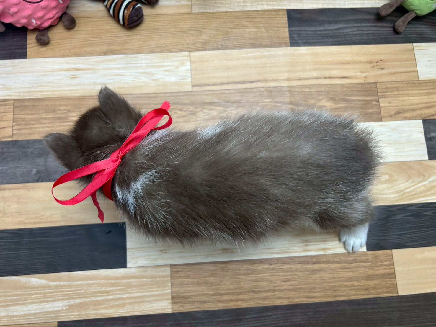 赤ちゃん写真3-3