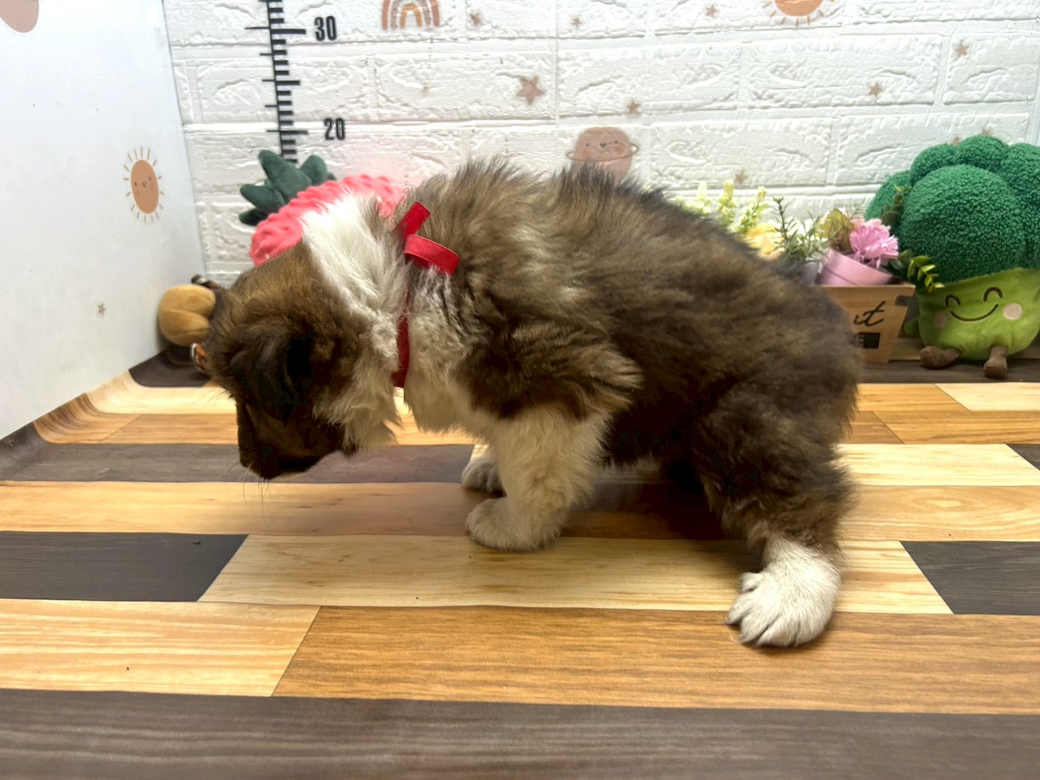 赤ちゃん写真3-2