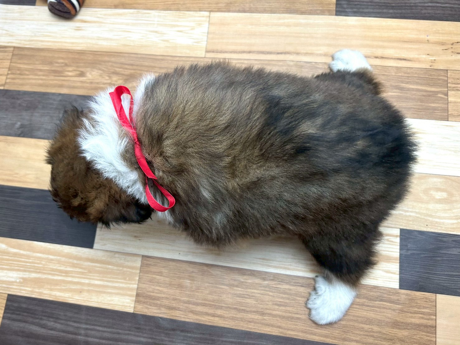 赤ちゃん写真3-3
