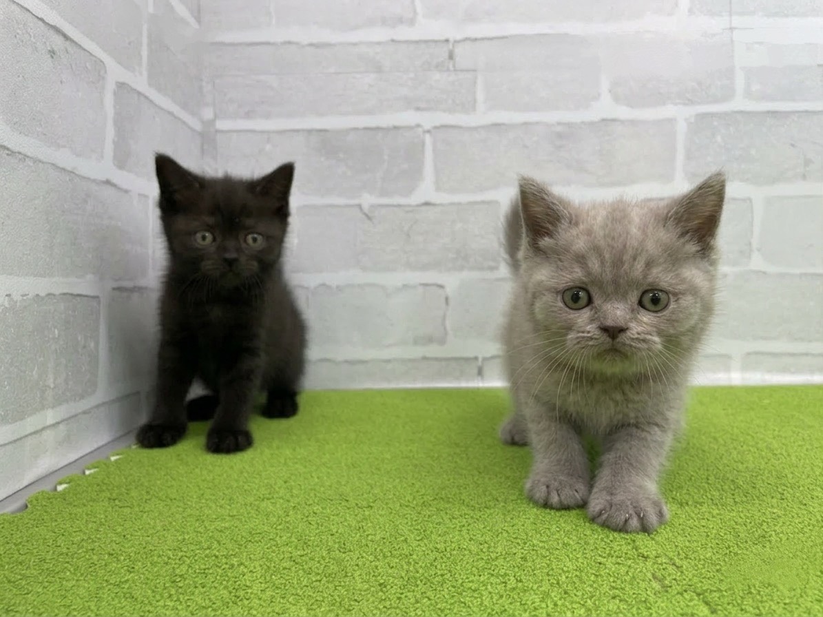 赤ちゃん写真3-3