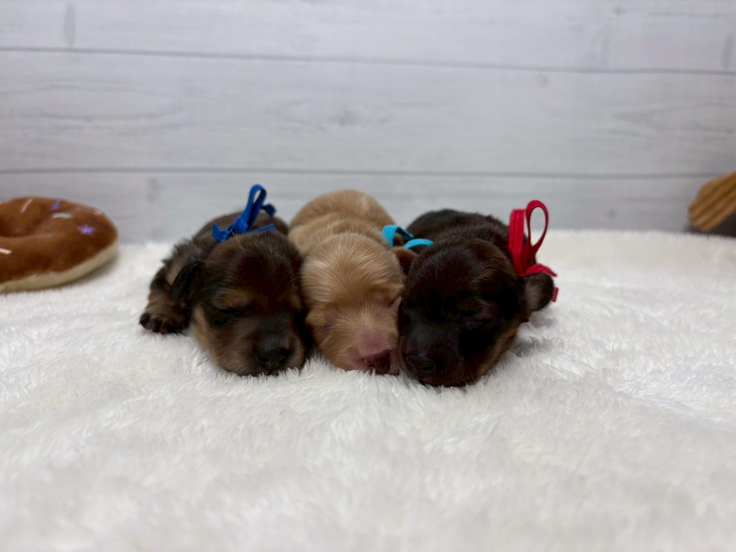 赤ちゃん写真1-3