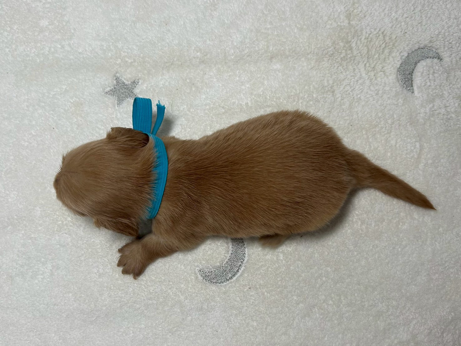 赤ちゃん写真2-3