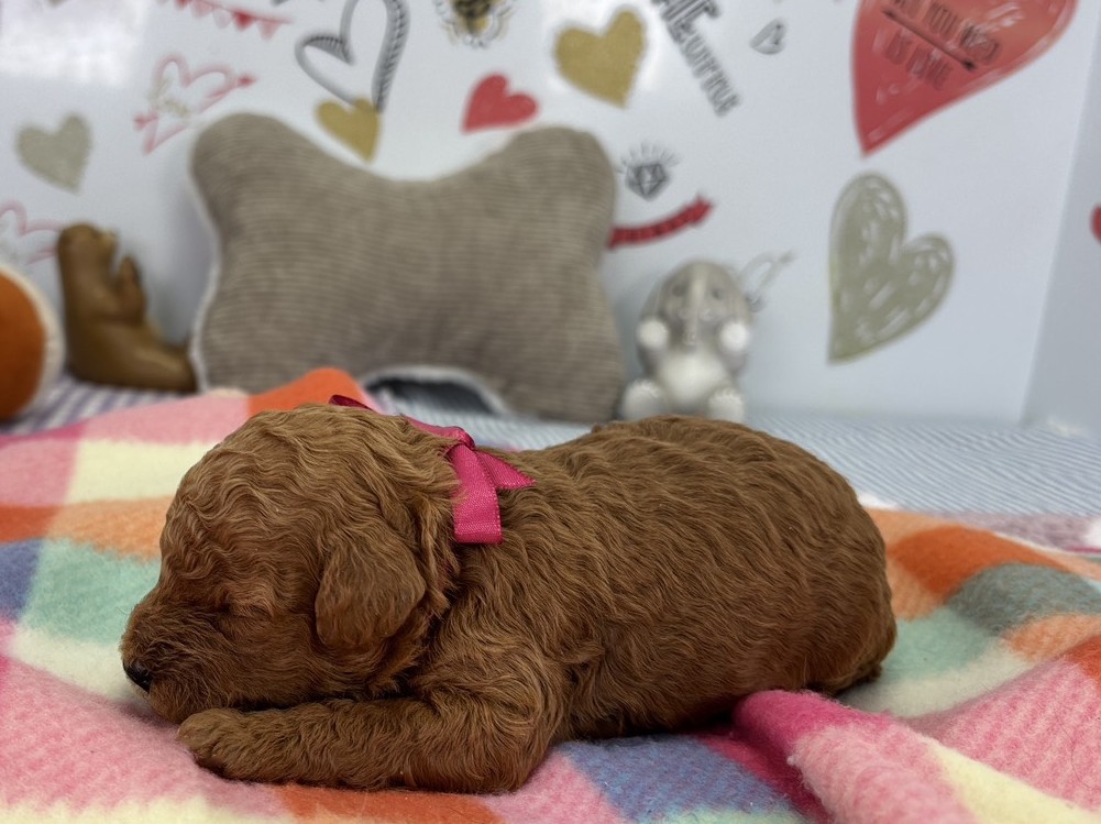 赤ちゃん写真1-2