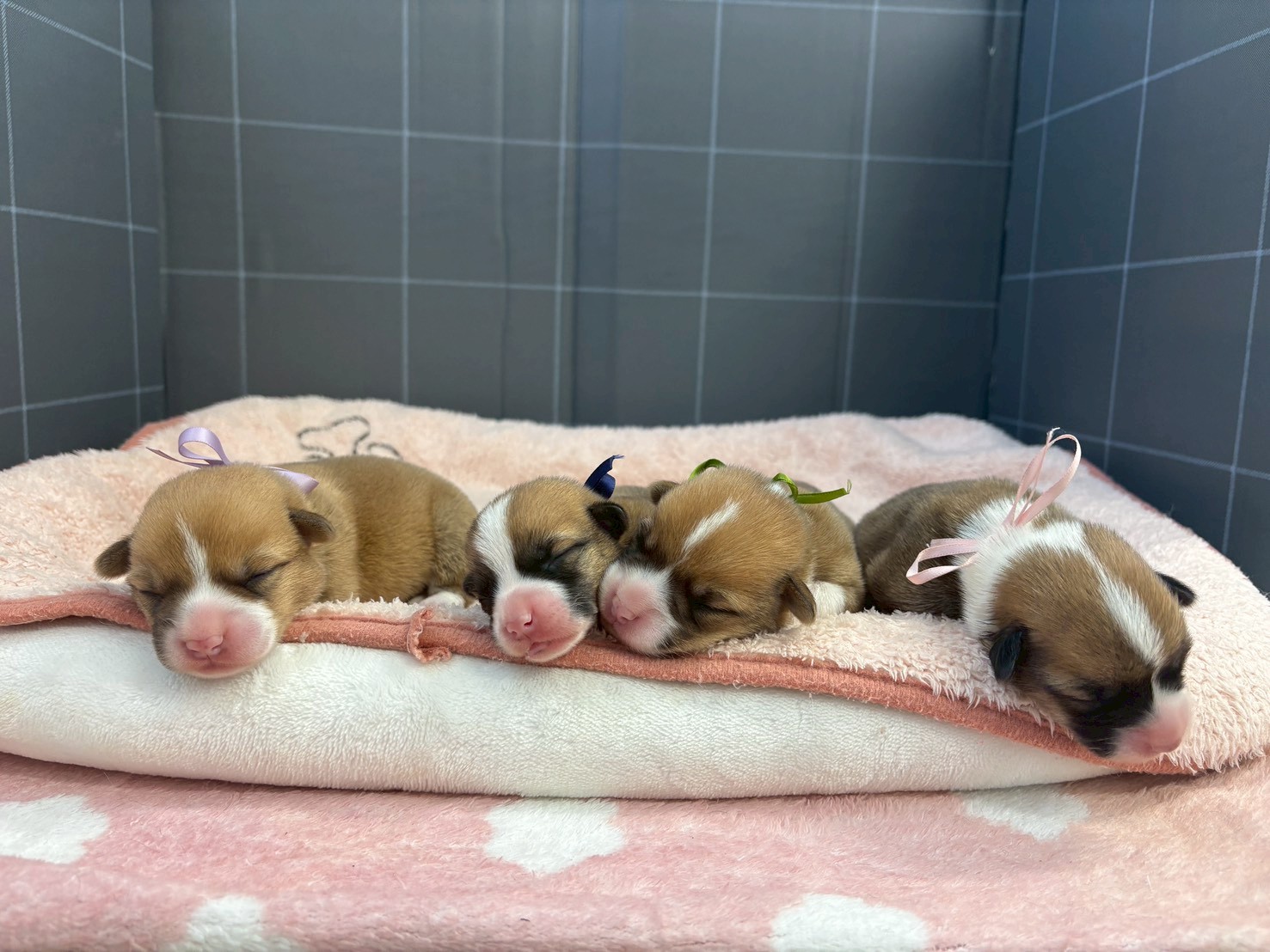 赤ちゃん写真1-3