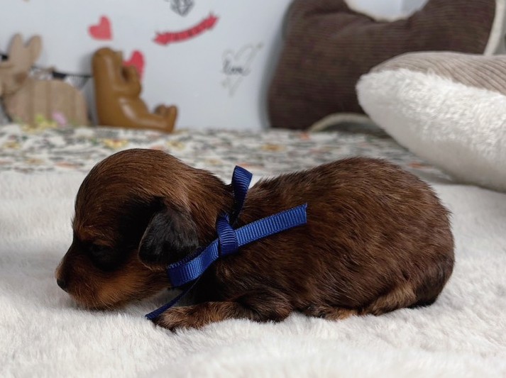 赤ちゃん写真1-2