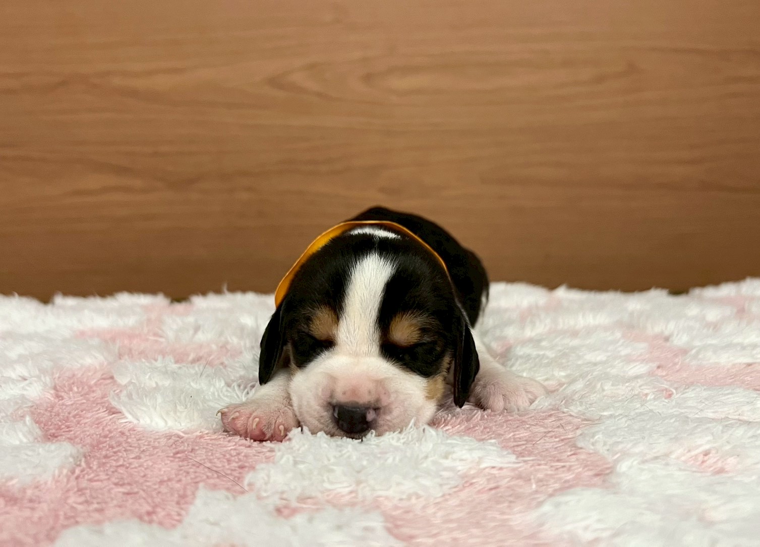 赤ちゃん写真1-1